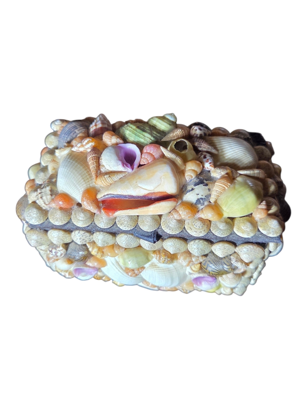 Seashell Decorative Box - Multicolor Accent